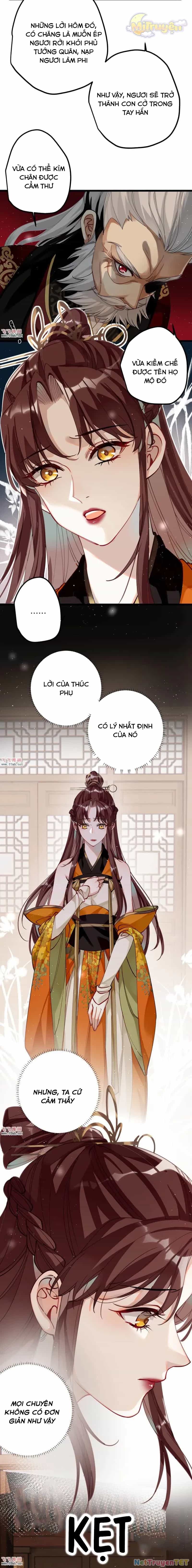 Công Chúa Pháo Hôi Muốn Tùy Tiện Đến Cùng - Chương 45 - ảnh 6
