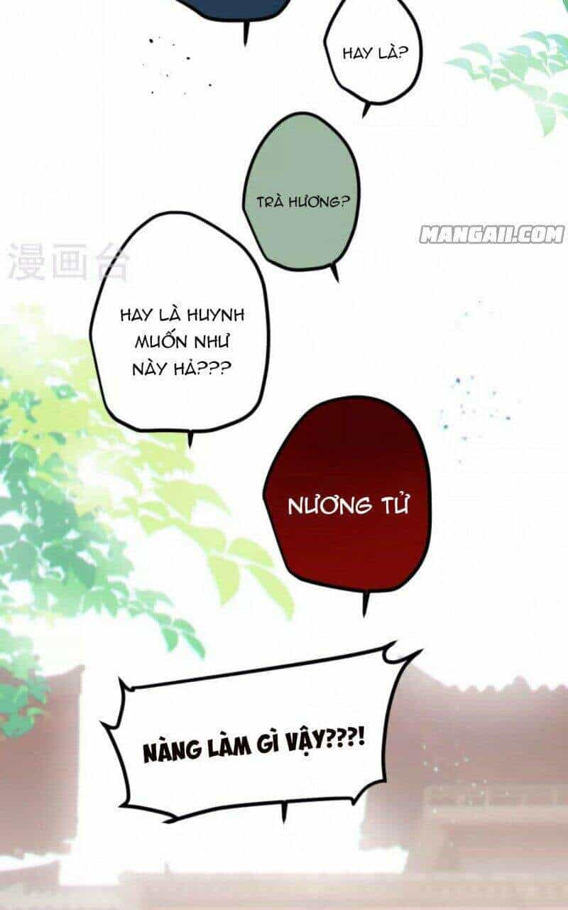 Công Chúa Pháo Hôi Muốn Tùy Tiện Đến Cùng - Chương 67 - ảnh 5