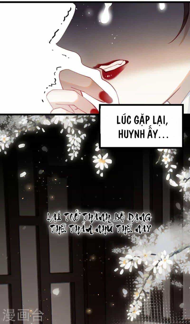 Công Chúa Pháo Hôi Muốn Tùy Tiện Đến Cùng - Chương 78 - ảnh 3