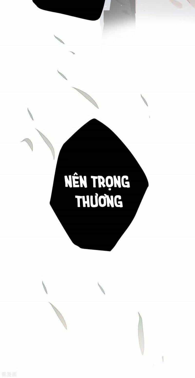 Công Chúa Pháo Hôi Muốn Tùy Tiện Đến Cùng - Chương 83 - ảnh 12