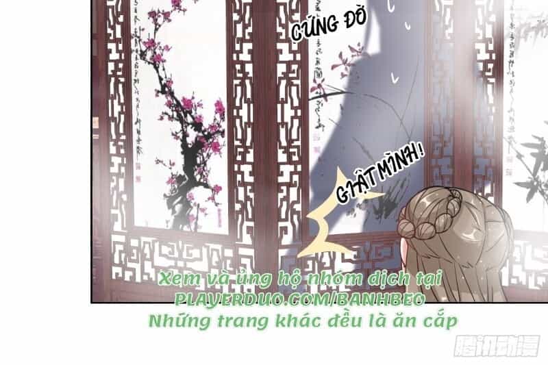 Công Lược Trưởng Thành Của Vương Phi - Chương 5 - ảnh 8