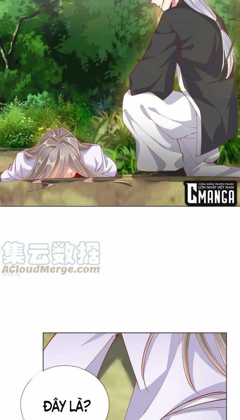 Công Lược Trưởng Thành Của Vương Phi - Chương 50 - ảnh 51