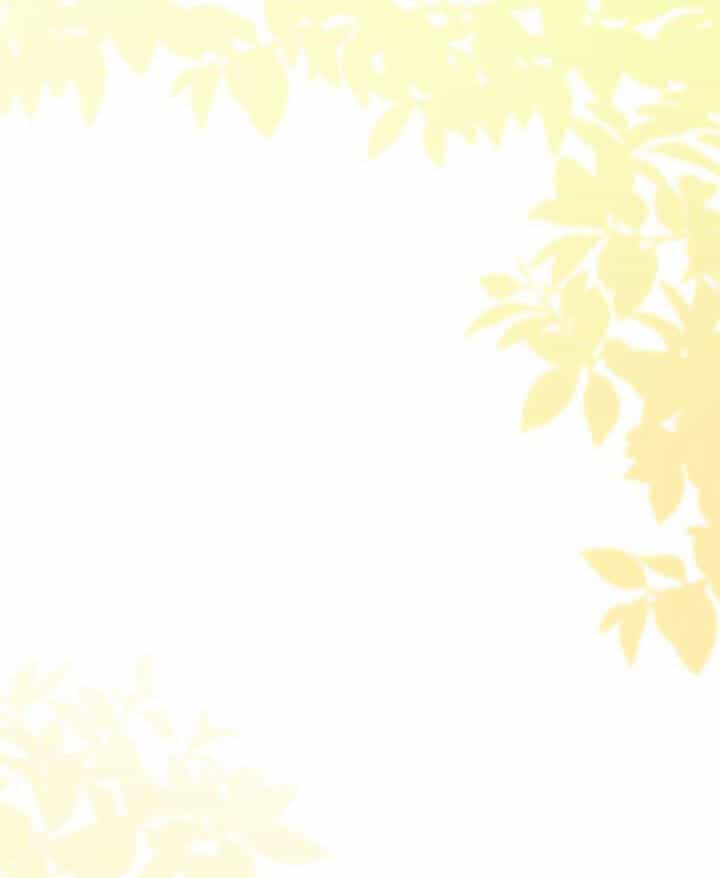 Công Nương Su - Chương 68.2 - ảnh 18