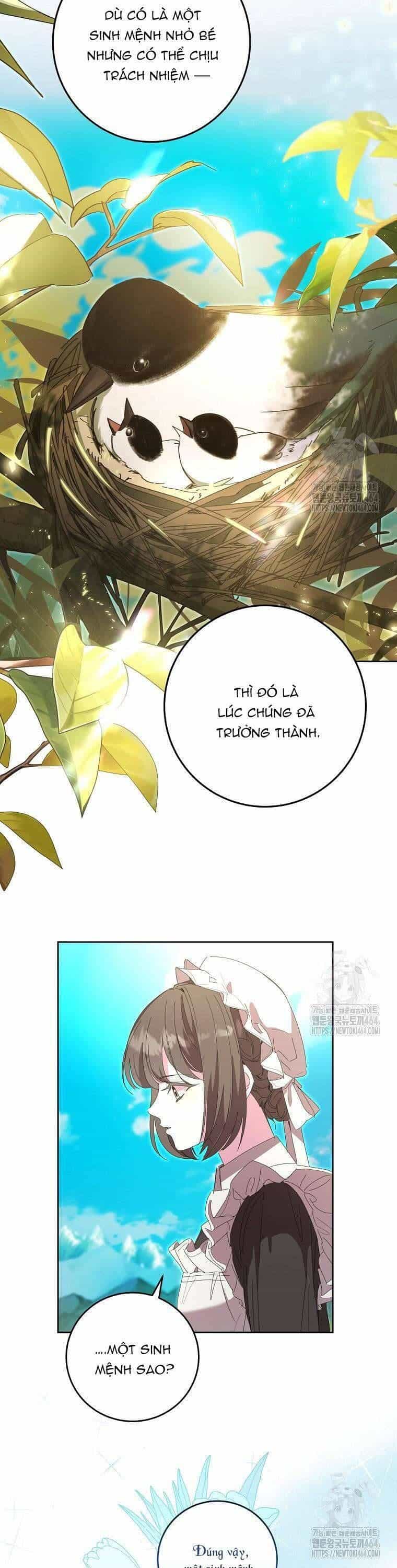 Công Nương Tái Sinh - Chương 12 - ảnh 23