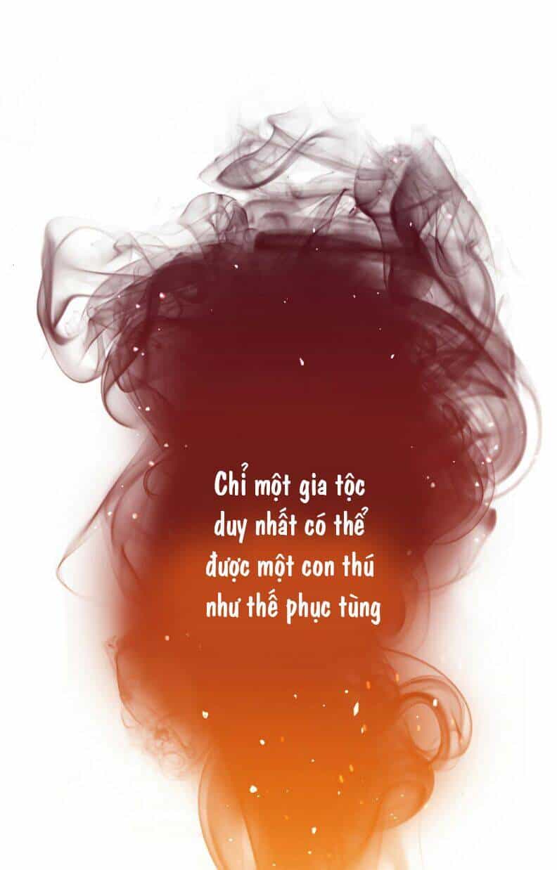 Công Tước Bạch Long - Chương 2 - ảnh 7