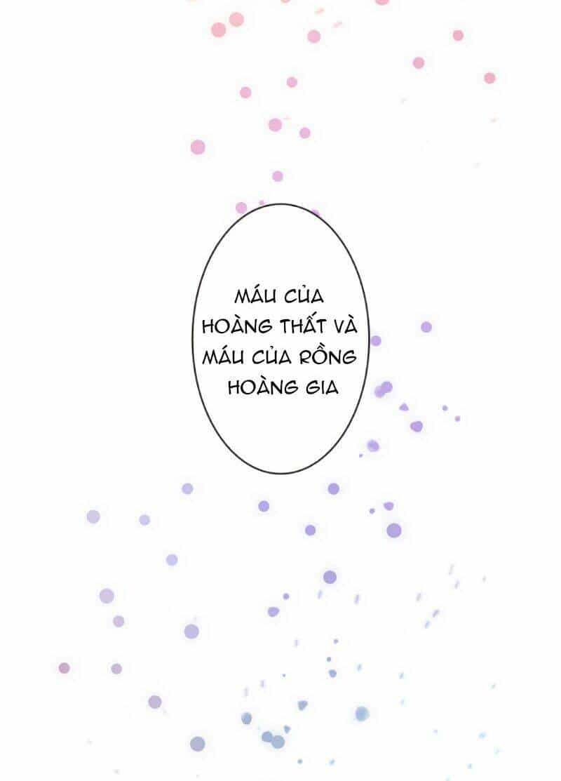 Công Tước Bạch Long - Chương 4 - ảnh 102