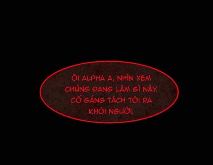 Cột Sống Đỏ - Chương 23 - ảnh 51