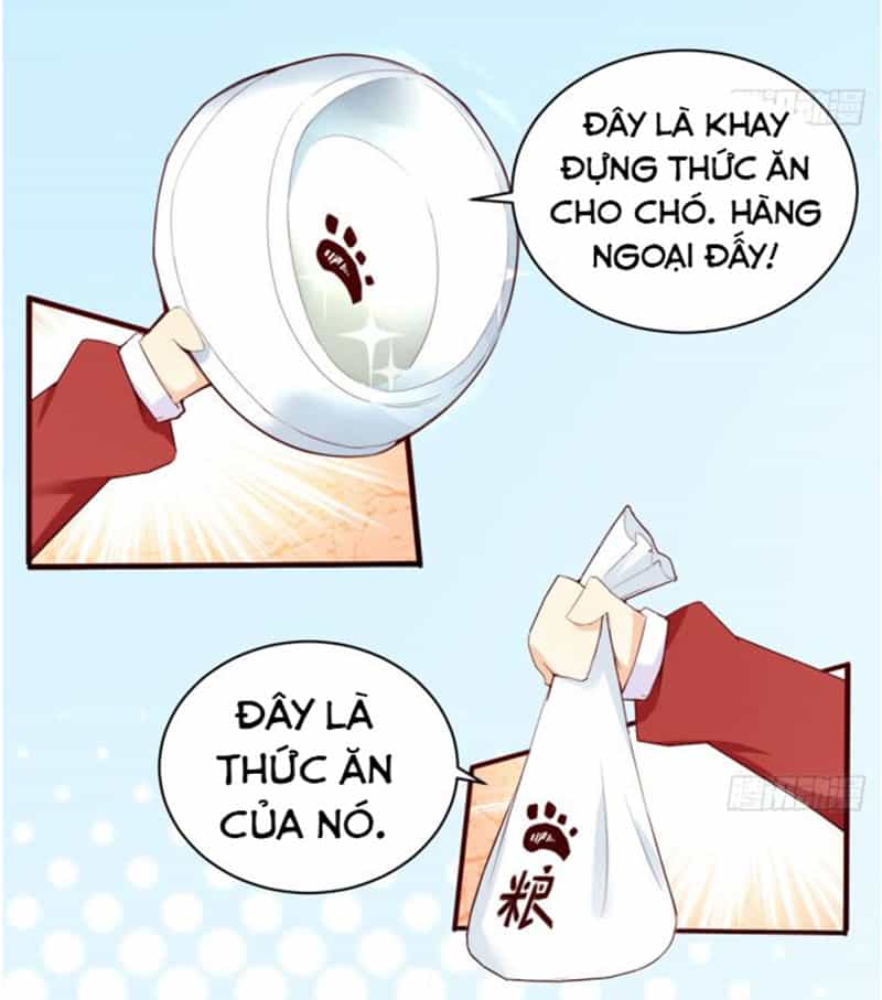 Cửa Hàng Thông Thiên Giới - Chương 8 - ảnh 16