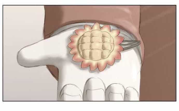 Cuộc Chiến Với Quái Vật Tại Kỷ Nguyên 430 - Chương 2 - ảnh 79