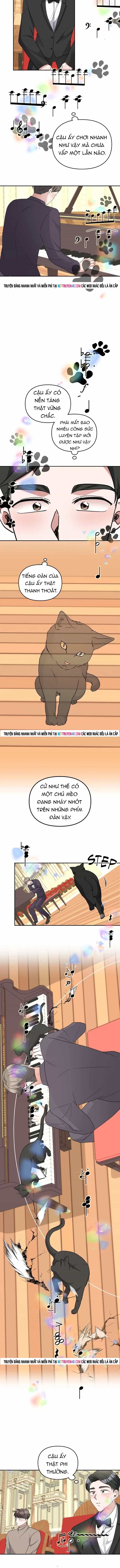 Cuộc Đời Của Thiên Tài Piano - Chương 51 - ảnh 5