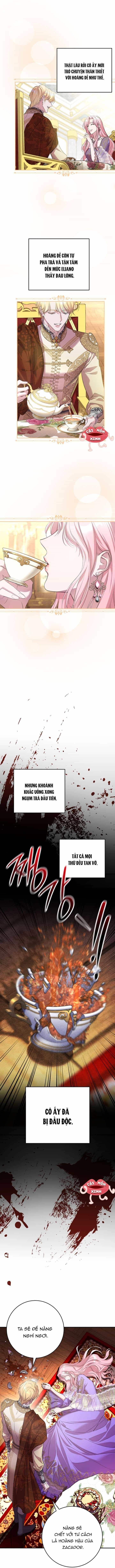 Cuộc Hôn Nhân Bị Bắt Cóc Xuyên Thời Gian Của Hoàng Hậu - Chương 2 - ảnh 18