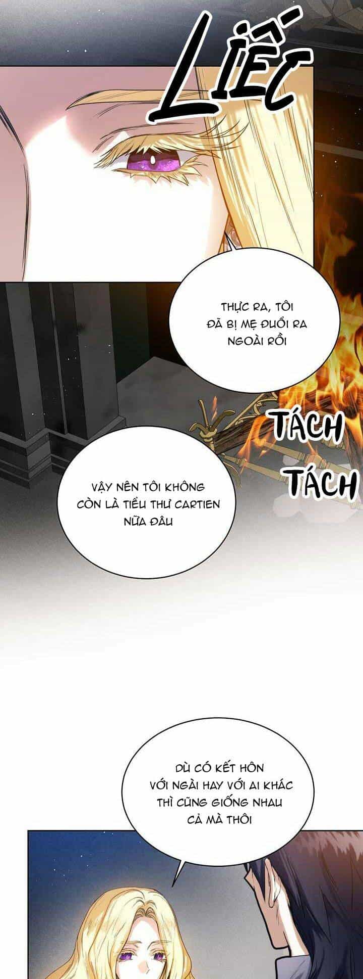 Cuộc Hôn Nhân Hoàng Gia - Chương 12 - ảnh 15
