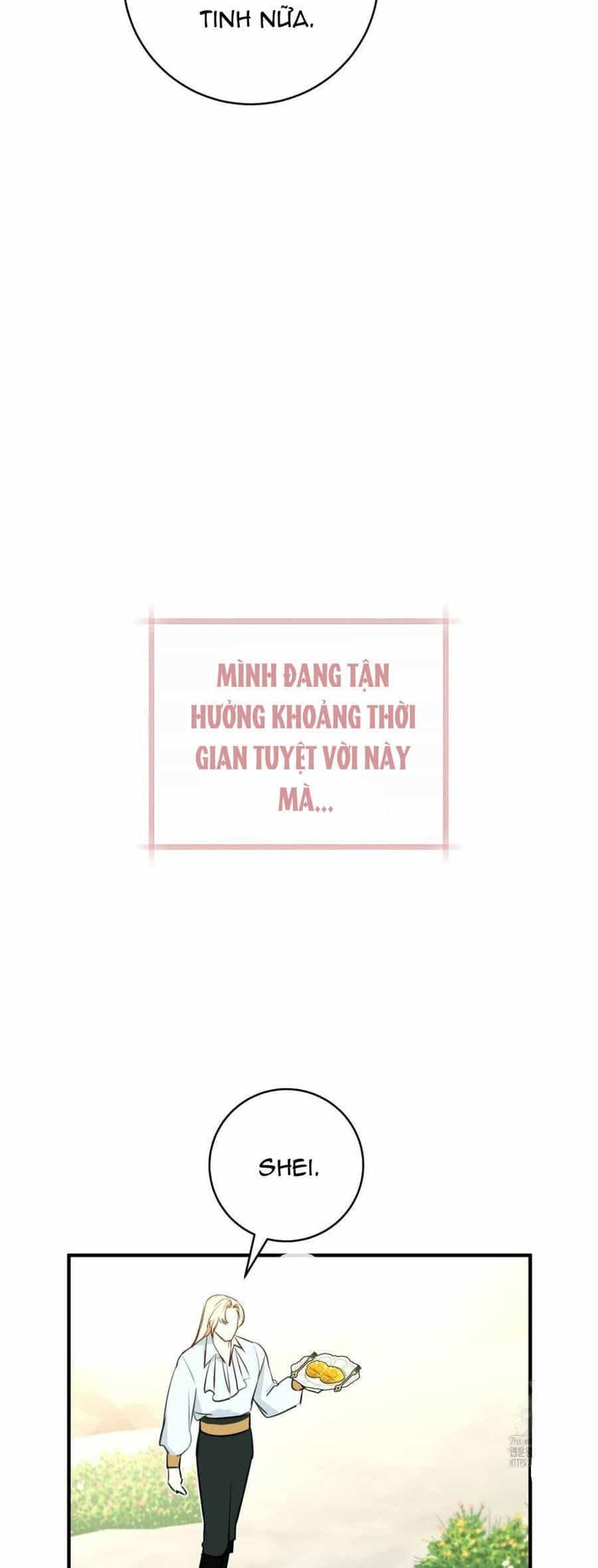 Cuộc Hôn Nhân Xa Hoa Của Đại Công Tước Là Giả - Chương 69 - ảnh 27