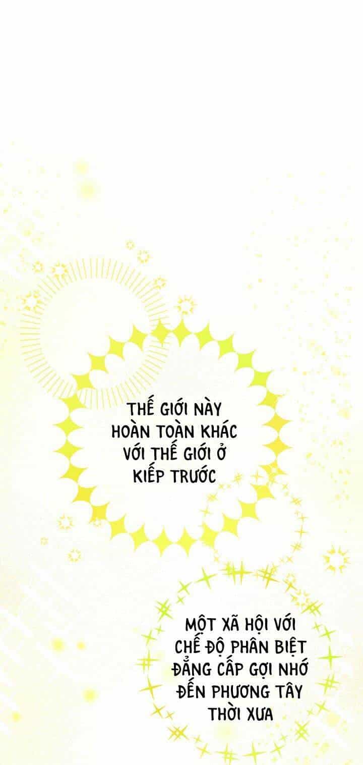 Cuộc Sống Mới Của Công Nương - Chương 2 - ảnh 1