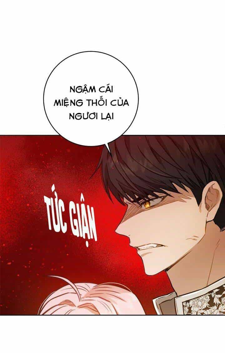 Cuộc Sống Mới Của Công Nương - Chương 23 - ảnh 8