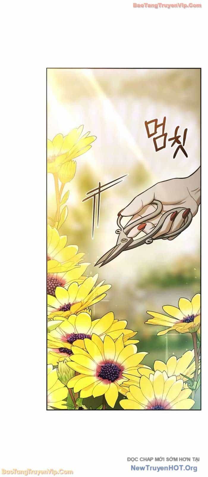 Cuộc Sống Tái Sinh Của Pháp Sư Hẻm Tối - Chương 8 - ảnh 42