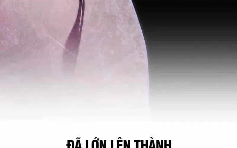 Cuốn Sách Chiến Lược Hàng Đầu Mà Chỉ Tôi Mới Có Thể Nhìn Thấy - Chương 88 - ảnh 162