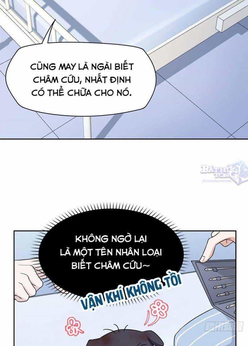 Cường Giả Đến Từ Trại Tâm Thần - Chương 21 - ảnh 31