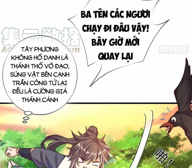Cường Giả Tuyệt Thế Chỉ Muốn Làm Ruộng - Chương 52 - ảnh 17