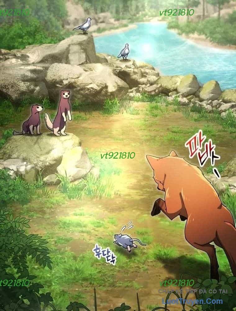 Cựu Chiến Binh Tận Thế - Chương 15 - ảnh 7