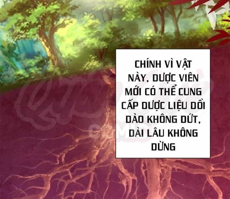 Cửu Dương Đế Tôn - Chương 174 - ảnh 2