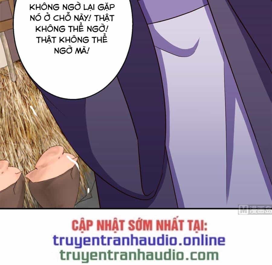 Cửu Dương Đế Tôn - Chương 186 - ảnh 11