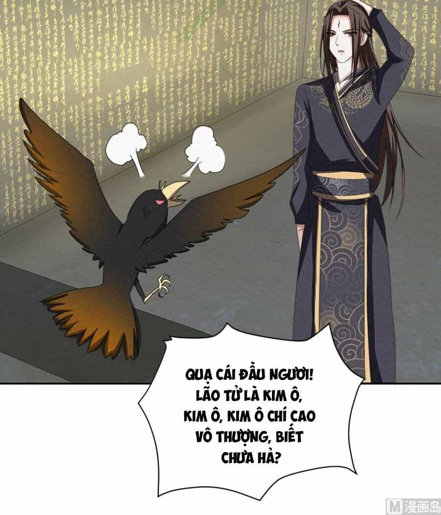 Cửu Dương Đế Tôn - Chương 44 - ảnh 28
