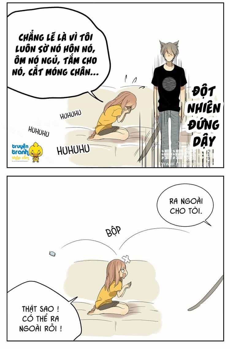 Cứu Mạng! Loài Mèo Thống Trị Thế Giới Rồi! - Chương 11 - ảnh 15