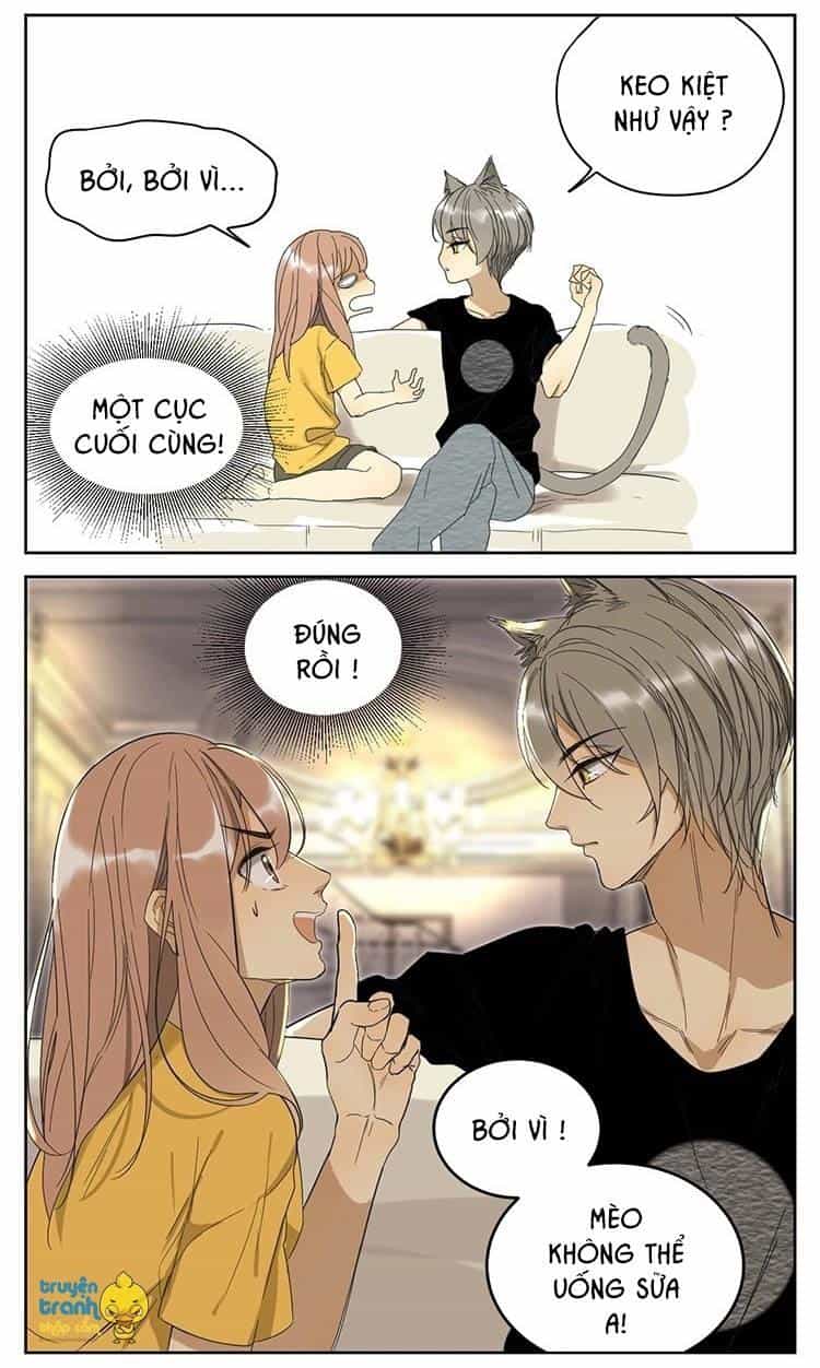 Cứu Mạng! Loài Mèo Thống Trị Thế Giới Rồi! - Chương 11 - ảnh 7