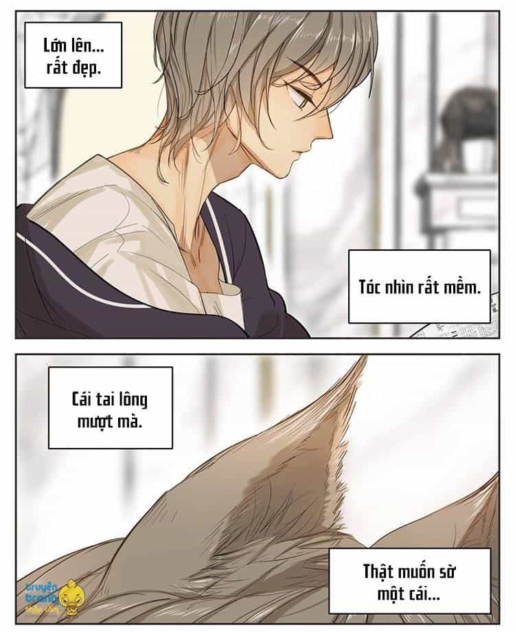 Cứu Mạng! Loài Mèo Thống Trị Thế Giới Rồi! - Chương 13 - ảnh 3