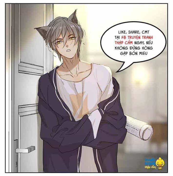 Cứu Mạng! Loài Mèo Thống Trị Thế Giới Rồi! - Chương 17 - ảnh 24