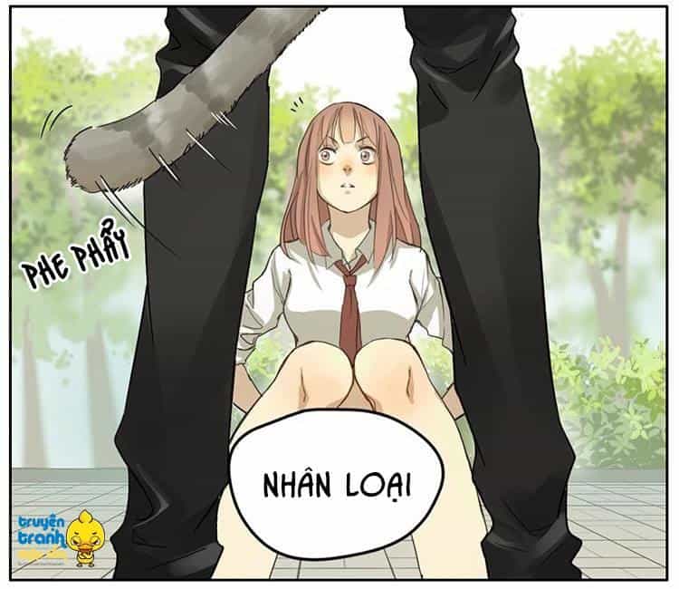 Cứu Mạng! Loài Mèo Thống Trị Thế Giới Rồi! - Chương 2 - ảnh 14