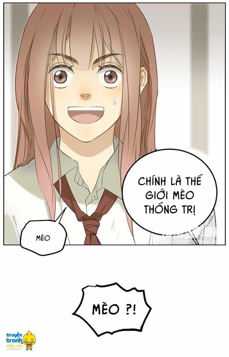 Cứu Mạng! Loài Mèo Thống Trị Thế Giới Rồi! - Chương 2 - ảnh 26
