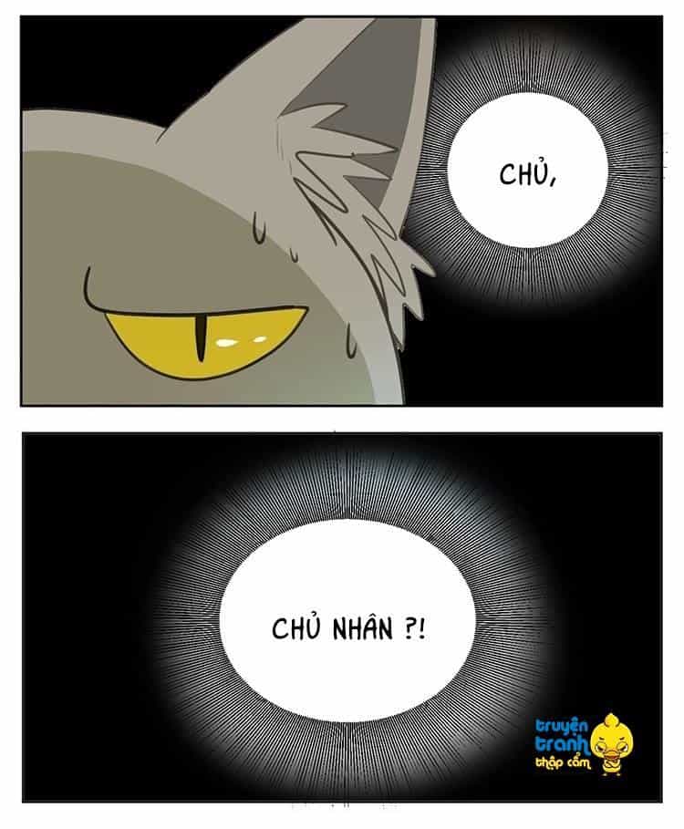 Cứu Mạng! Loài Mèo Thống Trị Thế Giới Rồi! - Chương 24 - ảnh 16