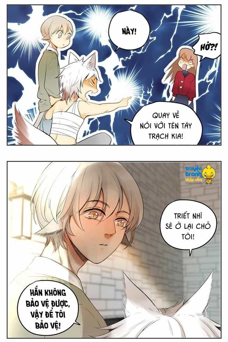 Cứu Mạng! Loài Mèo Thống Trị Thế Giới Rồi! - Chương 29 - ảnh 7