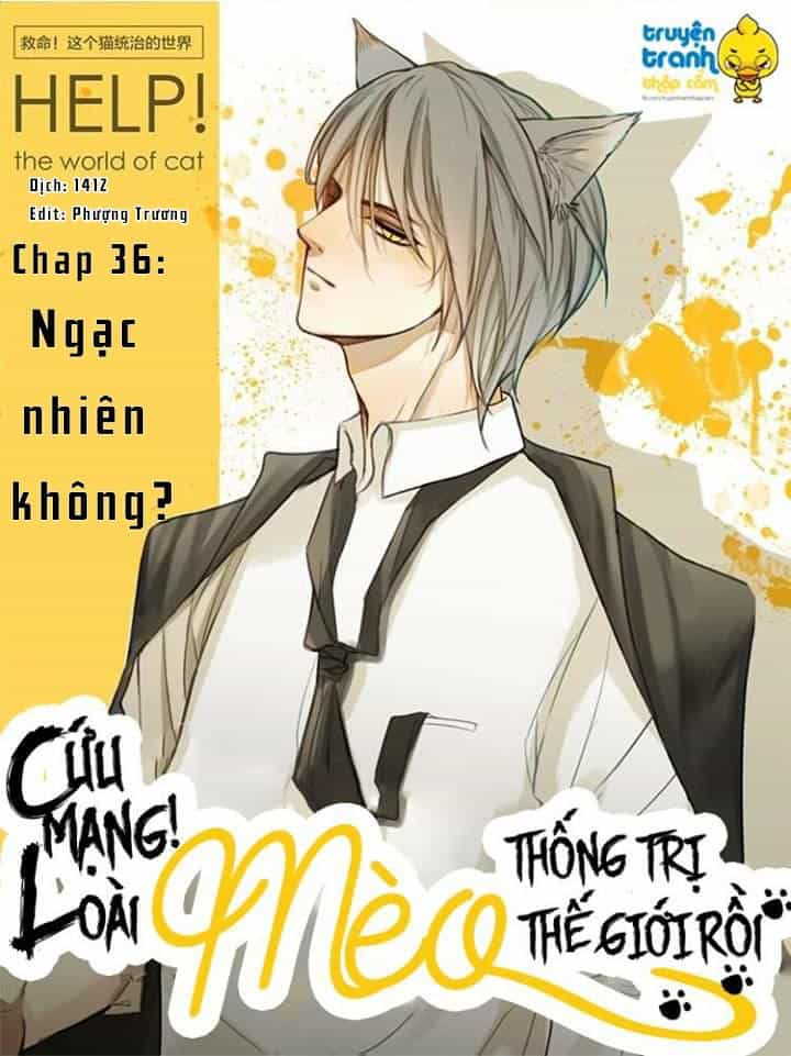Cứu Mạng! Loài Mèo Thống Trị Thế Giới Rồi! - Chương 36 - ảnh 1