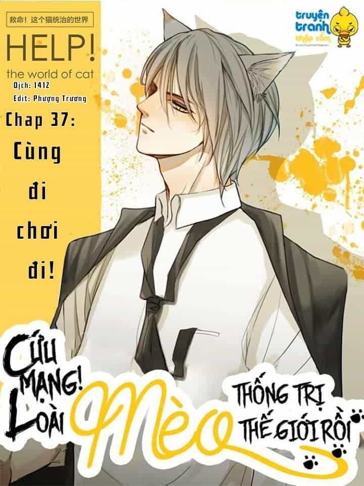 Cứu Mạng! Loài Mèo Thống Trị Thế Giới Rồi! - Chương 37 - ảnh 1