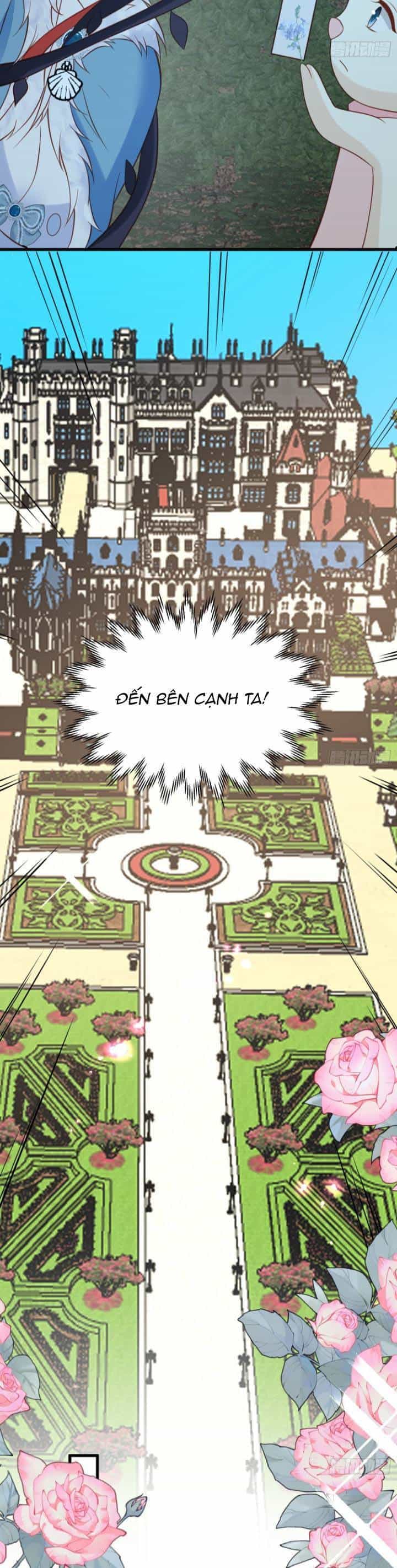 Dã Nam Nhân Đều Muốn Gả Cho Ta - Chương 81 - ảnh 11