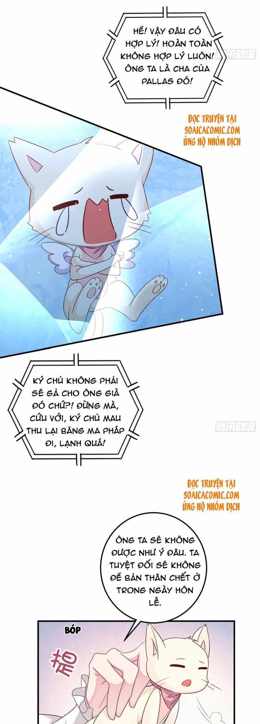 Dã Nam Nhân Đều Muốn Gả Cho Ta - Chương 10 - ảnh 23