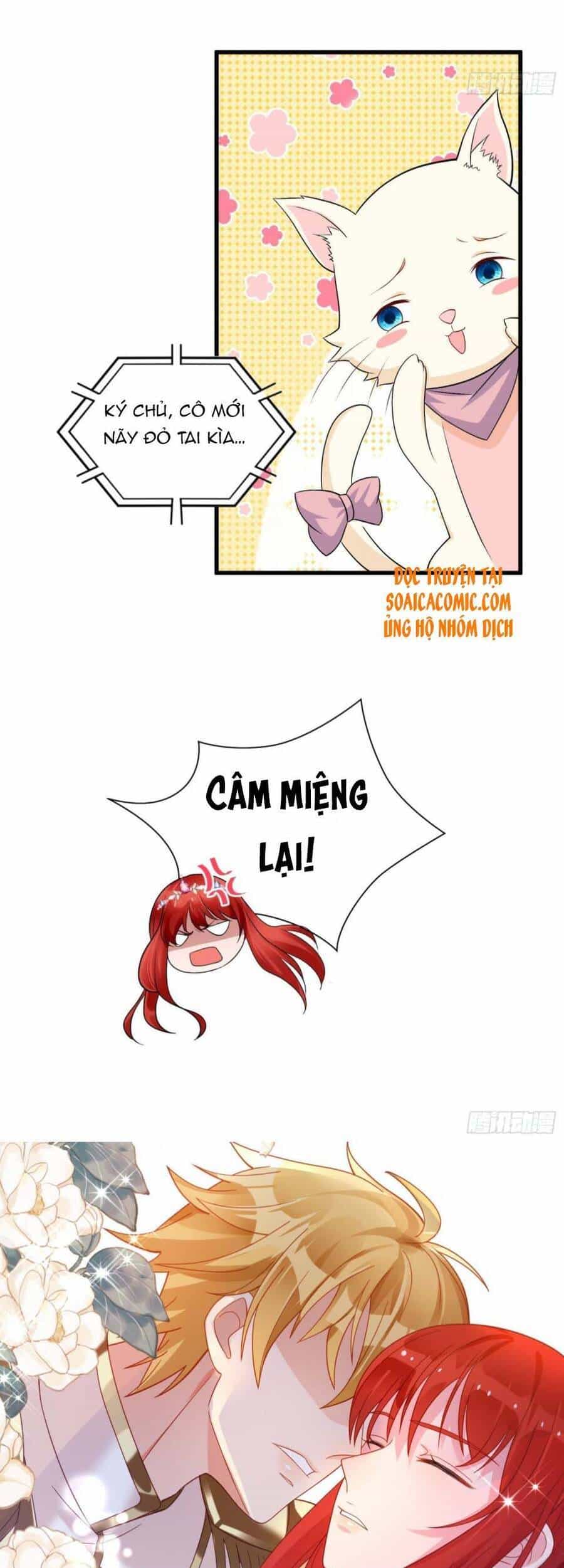 Dã Nam Nhân Đều Muốn Gả Cho Ta - Chương 23 - ảnh 6