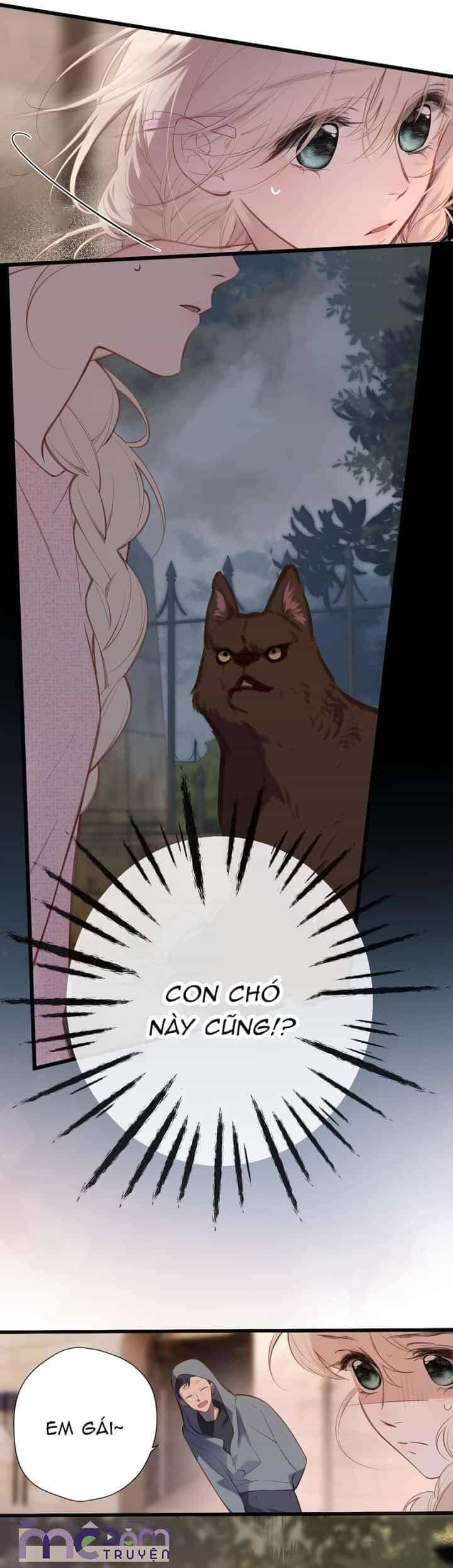Dã Thú Khi Yêu - Chương 31 - ảnh 9