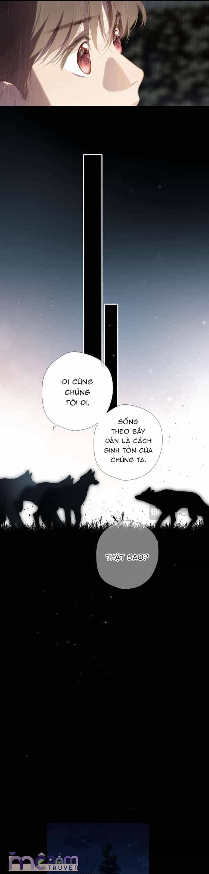 Dã Thú Khi Yêu - Chương 33 - ảnh 8