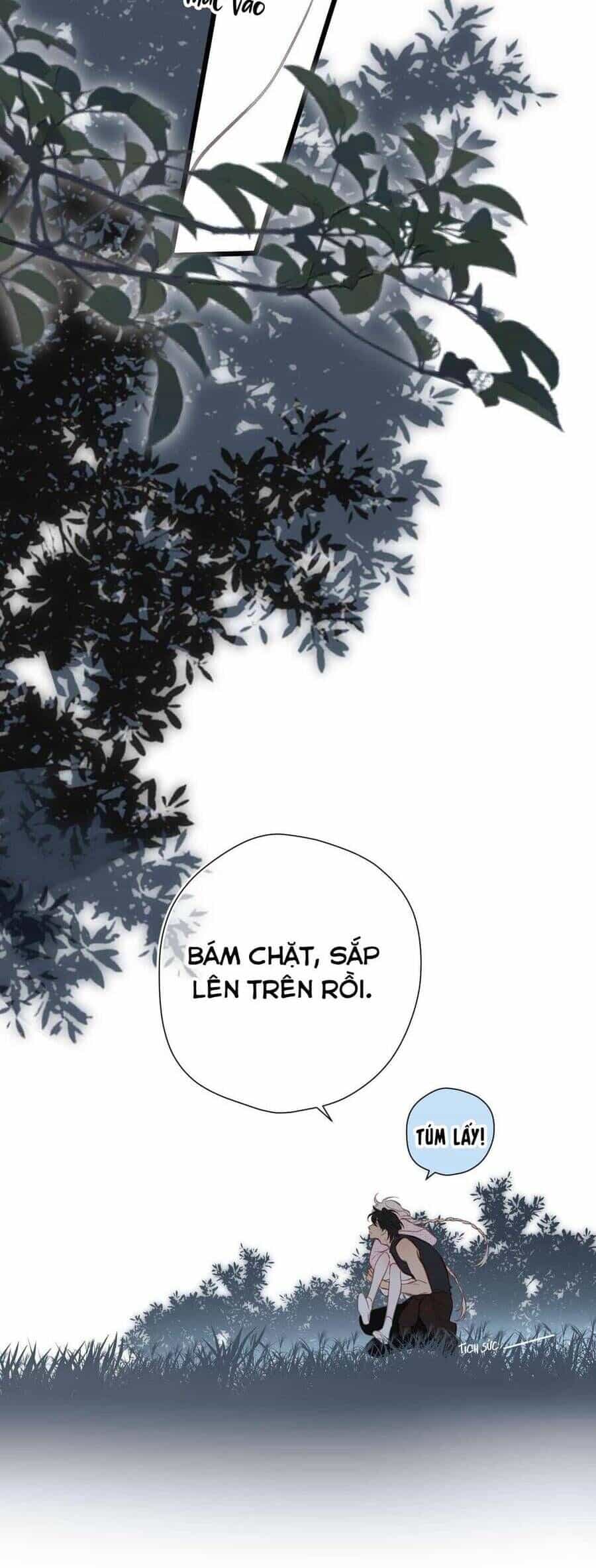 Dã Thú Khi Yêu - Chương 35 - ảnh 24