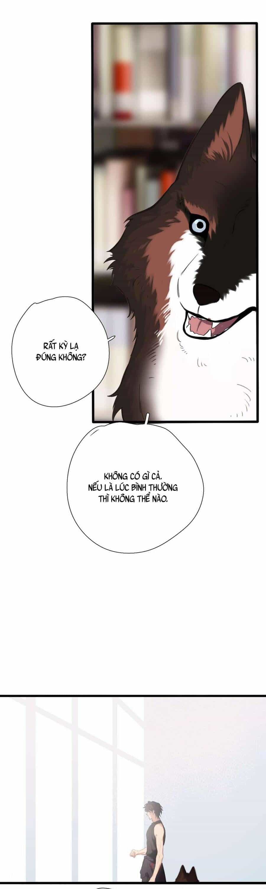 Dã Thú Khi Yêu - Chương 47 - ảnh 32