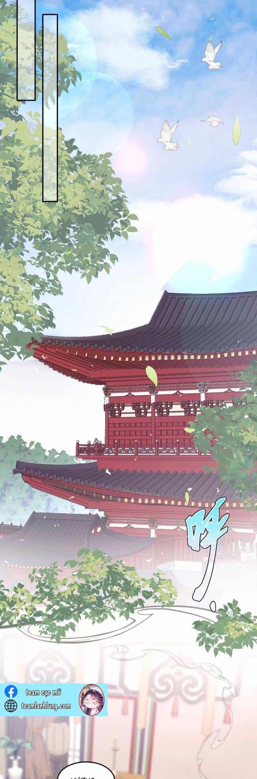 Đặc Công Thần Y Xuyên Không - Chương 31 - ảnh 3