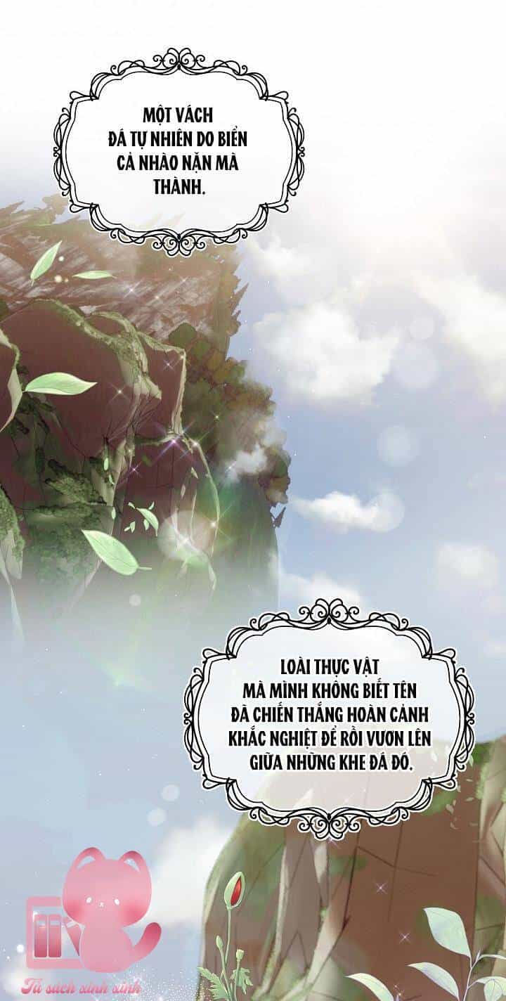Đại Dương Kiêu Sa - Chương 46 - ảnh 67