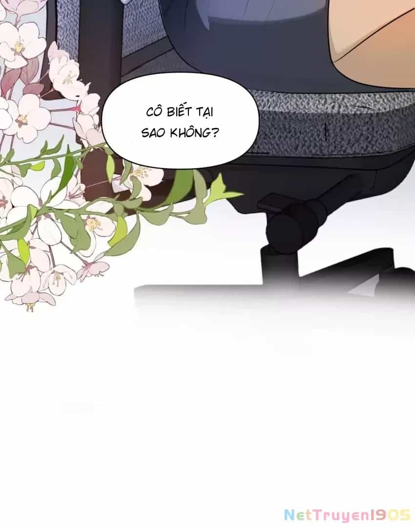 Đại Lão, Đầu Cô Lại Rớt Rồi Kìa! - Chương 4 - ảnh 32