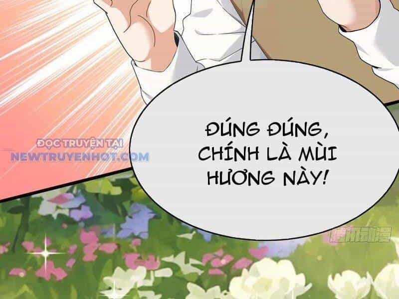Đại Lão Xuống Núi: Bắt Đầu Từ Việc Trở Thành Thư Ký - Chương 54 - ảnh 13