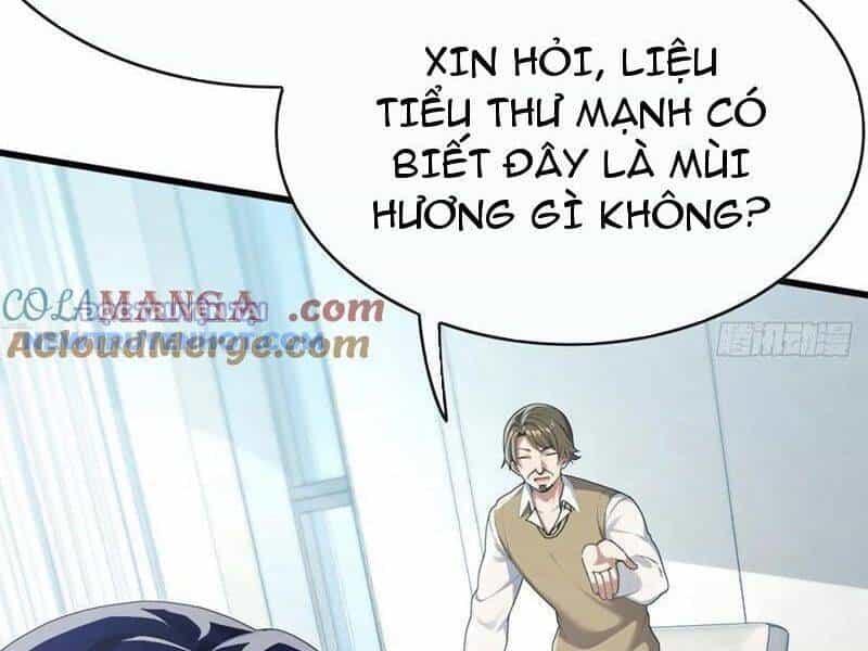 Đại Lão Xuống Núi: Bắt Đầu Từ Việc Trở Thành Thư Ký - Chương 54 - ảnh 6