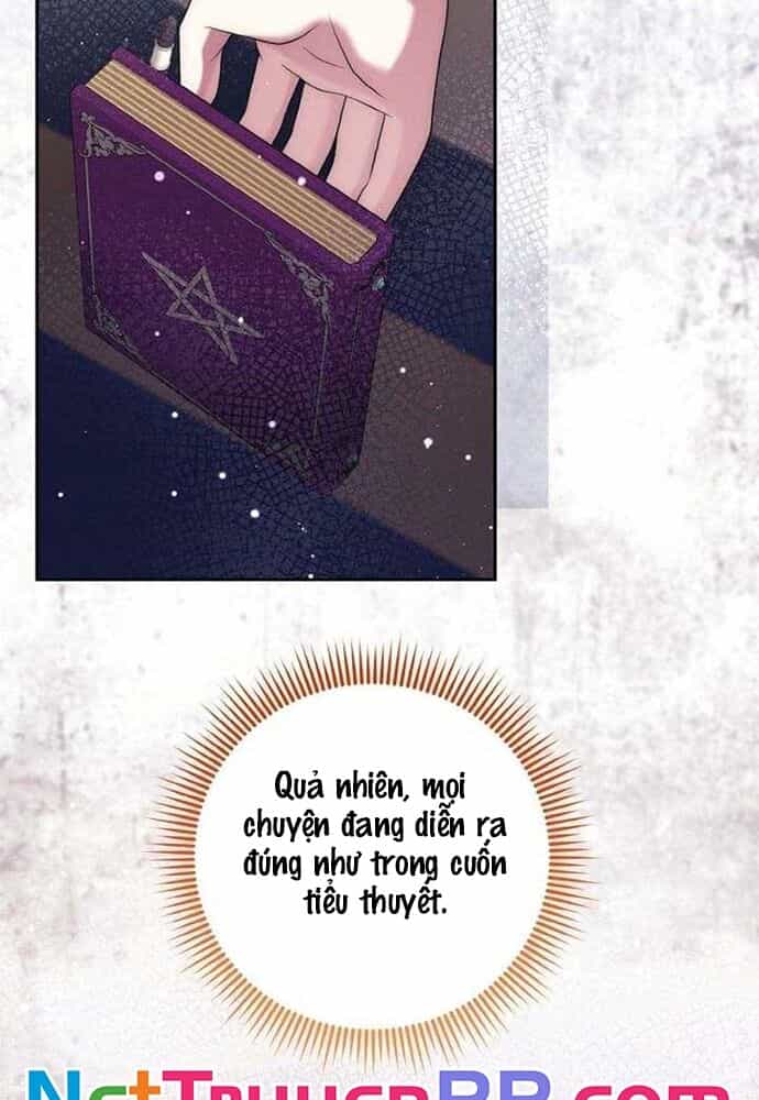 Đại Phản Diện Mà Nam Chính Phải Giết Là Tôi. - Chương 39 - ảnh 36